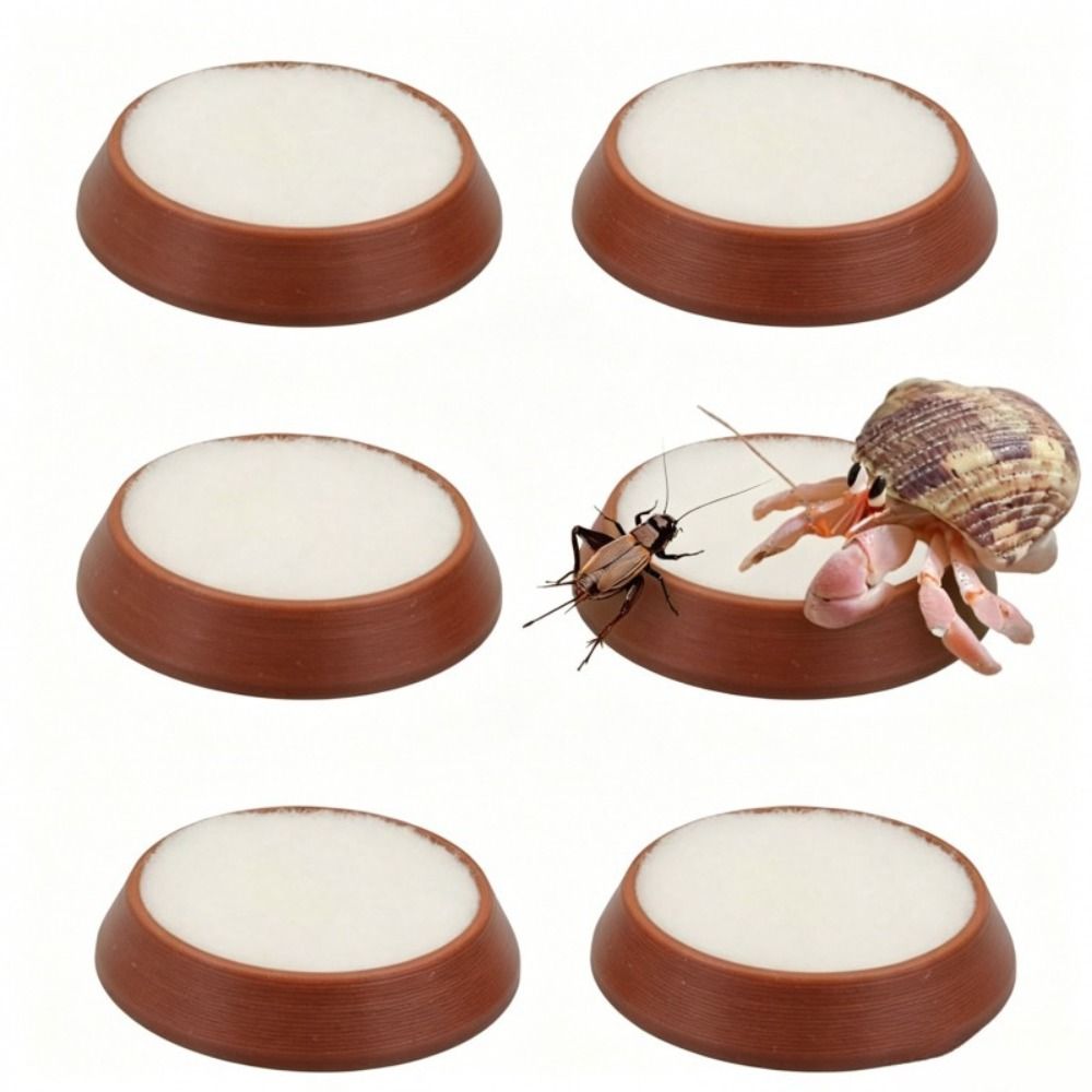 6pcs Portable Reusable Reptile - Water Dish Reptile 评论和价格
