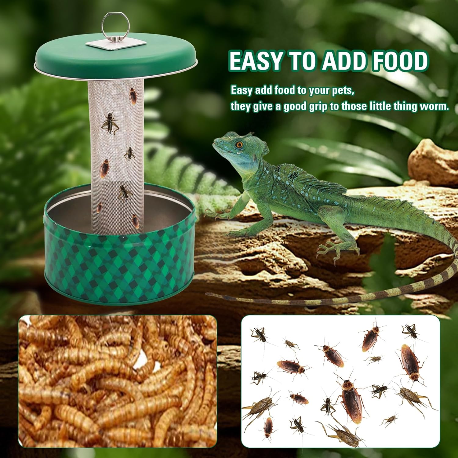 Bearded Dragon Feeder Chameleo - Water Dish Reptile 评论和价格