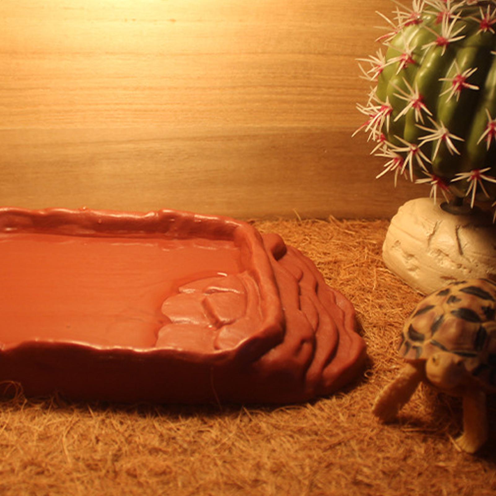Anti-Slip Ladders Reptile Bowl - Water Dish Reptile 评论和价格